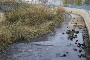 GAZİANTEP (AA) – Gaziantep'in Nizip ilçesinden geçen Nizip Çayı'nda toplu