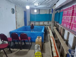 SAMSUN (AA) – Samsun'un Çarşamba ilçesinde ahırda horoz dövüştürdüğü iddia