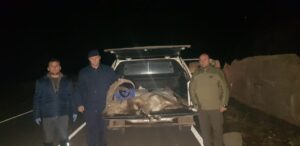 SİVAS (AA) – Sivas'ın Suşehri ilçesinde dağ keçisi avlayan kişiye,