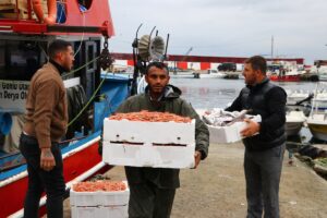 TEKİRDAĞ (AA) – Tekirdağ'da poyraz nedeniyle bir süredir Marmara Denizi'ne