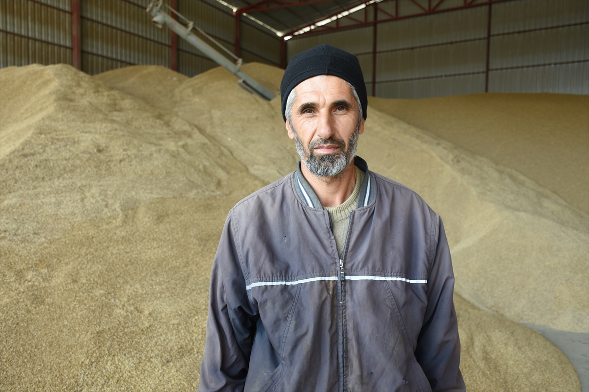 TMO Malatya'daki besicilere 18 bin ton yemlik arpa satışına başladı