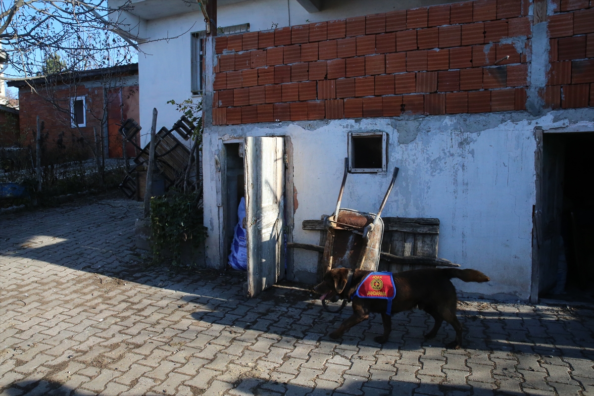 Tokat'ta 14 gündür kayıp olan kadın dedektör köpeklerle arandı