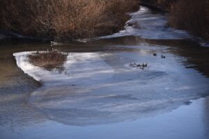 KARS (AA) – Kars'ta soğuk havanın etkisiyle kısmen buzla kaplanan
