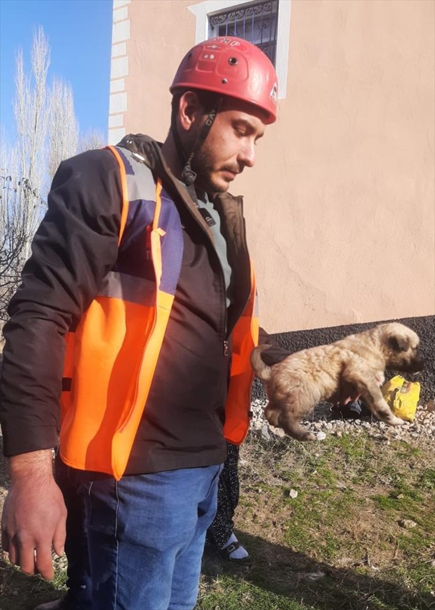 Aksaray'da kuyuya düşen köpek yavrularını AFAD ekipleri kurtardı