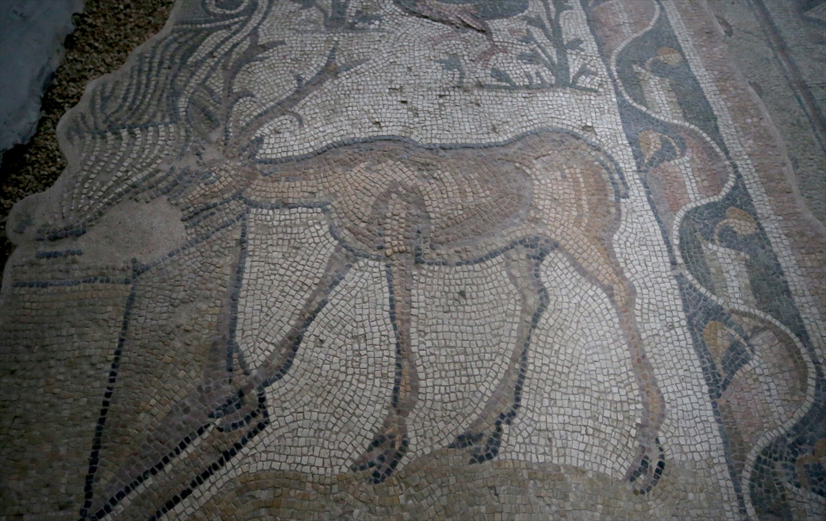 ANADOLU MOZAİĞİ – Tarihin yüzlerce yıllık tanığı mozaikler özenle gelecek kuşaklara aktarılıyor