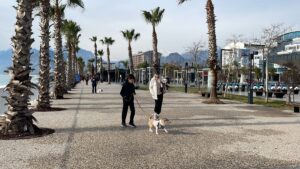 ANTALYA (AA) – Antalya'da güneşli havayı fırsat bilenler, mevsim kış