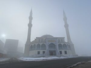 ARDAHAN (AA) – Ardahan'da sis ve kırağı etkili oldu. Gece
