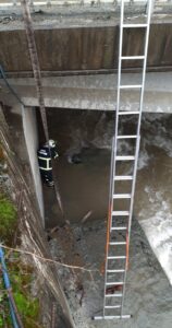 ARTVİN (AA) – Artvin'in Hopa ilçesinde dereye düşen yaralı köpek,