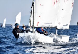 MUĞLA (AA) – Muğla'nın Bodrum ilçesinde, "Lapina ve Firmus Mandalin