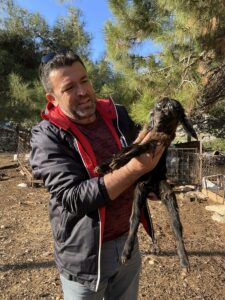 MUĞLA (AA) – ALİ BALLI – Muğla'nın Bodrum ilçesinde sürüsünü