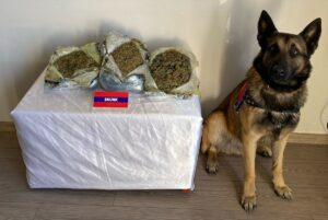 BOLU (AA) – Anadolu Otoyolu'nun Bolu kesiminde durdurulan iki yolcu