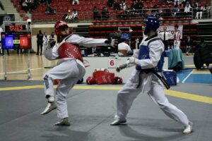 KONYA (AA) – Konya'da düzenlenen Büyükler Türkiye Tekvando Şampiyonası, ikinci