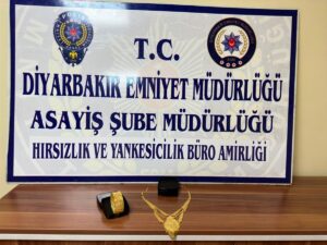 - Şüphe çekmemek için lüks araç kiralayan ve villaları da