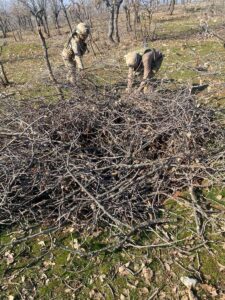 - Diyarbakır'daki operasyona, jandarma ve polis özel harekat, jandarma komando