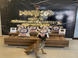 ERZURUM (AA) – Erzurum'da bir yolcu otobüsünde sentetik uyuşturucu ile