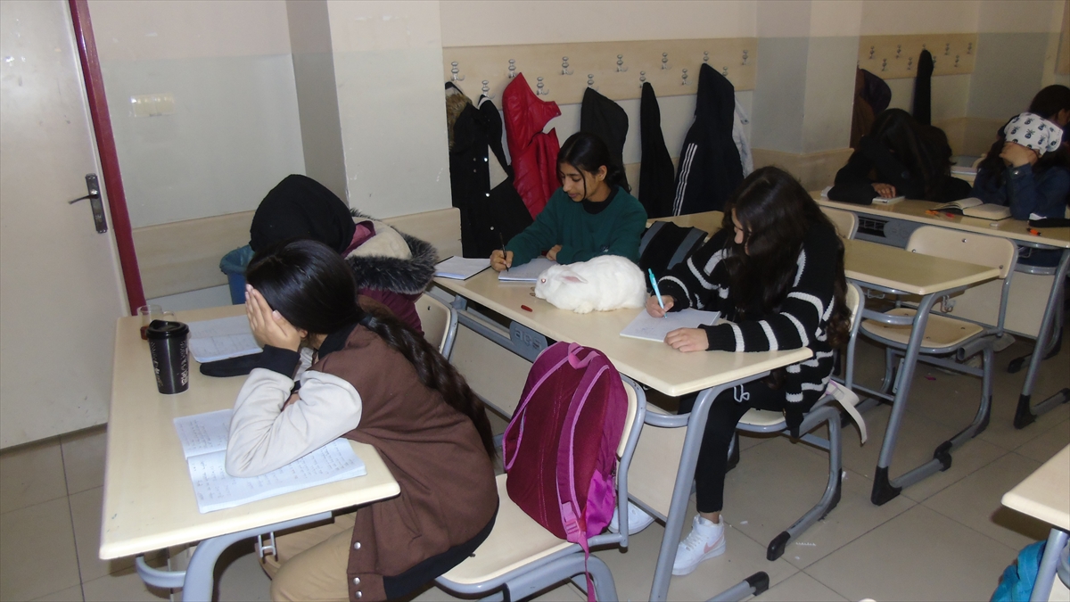 Gaziantep'te okuma saatinde öğrencilere tavşan “Pamuk” da katılıyor