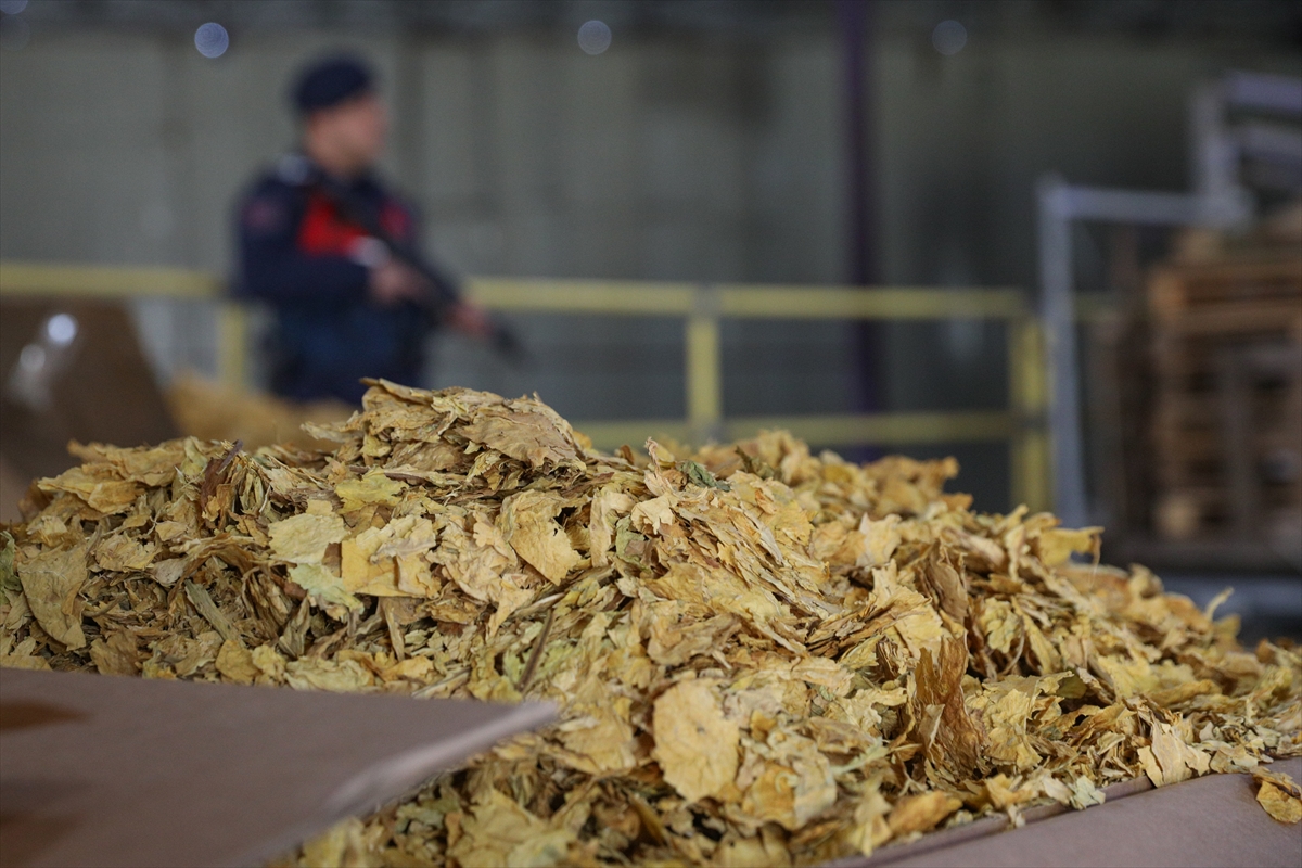 İzmir'de bir depoda 39 ton 601 kilogram kaçak tütün ele geçirildi