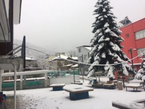 MANİSA (AA) – Manisa'nın Demirci ilçesi ile İzmir'in Ödemiş ilçesindeki