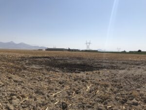 KONYA (AA) – ABDULLAH DOĞAN – Konya Ovası'nda, yer altında