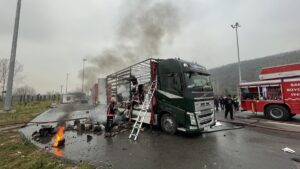 SAKARYA (AA) – Kuzey Marmara Otoyolu'nun Sakarya kesiminde seyir halindeyken