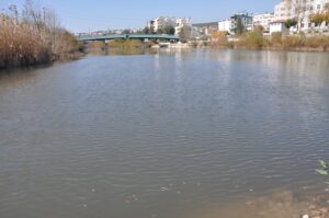 MERSİN – Mersin'de Göksu Nehri'nden akan suyun renginin koyulaşması nedeniyle