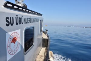 MUĞLA (AA) – Muğla'nın Bodrum ve Milas ilçelerinde, amatör balıkçılar