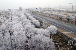 MUŞ (AA) – Muş'ta soğuk hava nedeniyle ağaçlar kırağı tuttu,