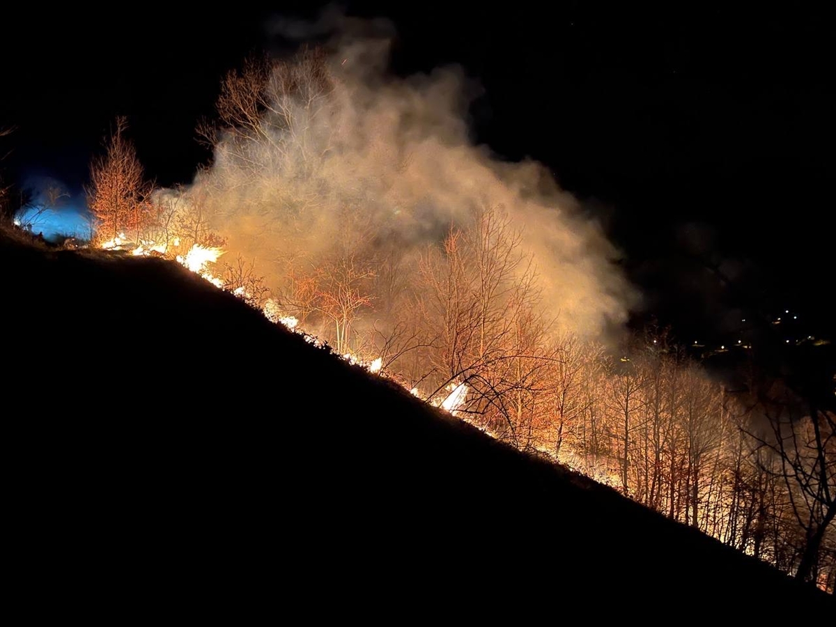 Sakarya'nın iki ilçesinde ormanlık alanlarda çıkan yangınlar söndürüldü