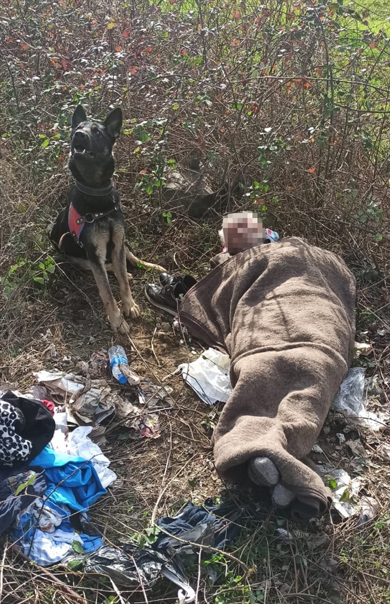 Samsun'da kayıp kişi iz takip köpeğinin yardımıyla bulundu