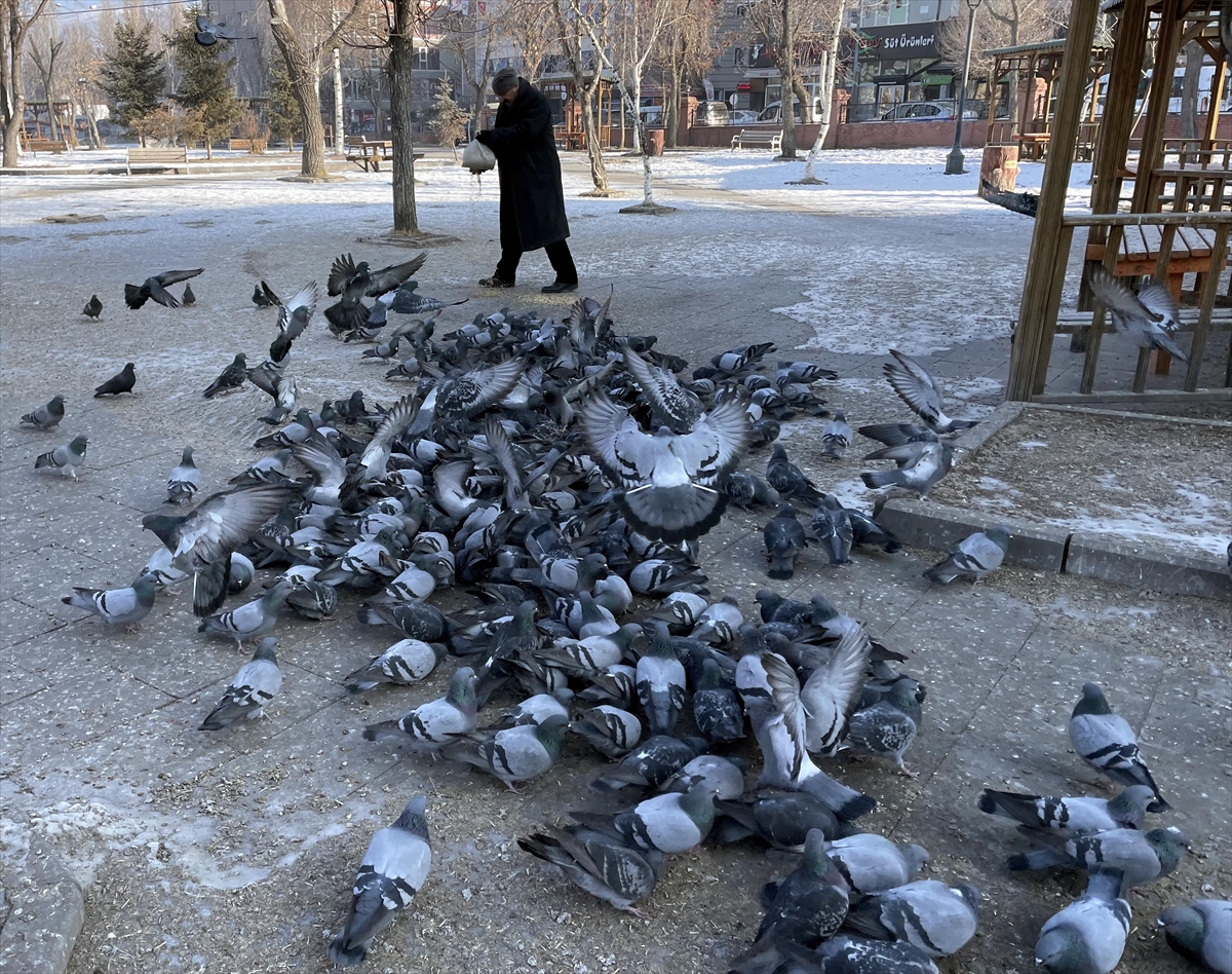 Termometrelerin sıfırın altında 25'i gösterdiği Ardahan'da esnaf güvercinleri besledi