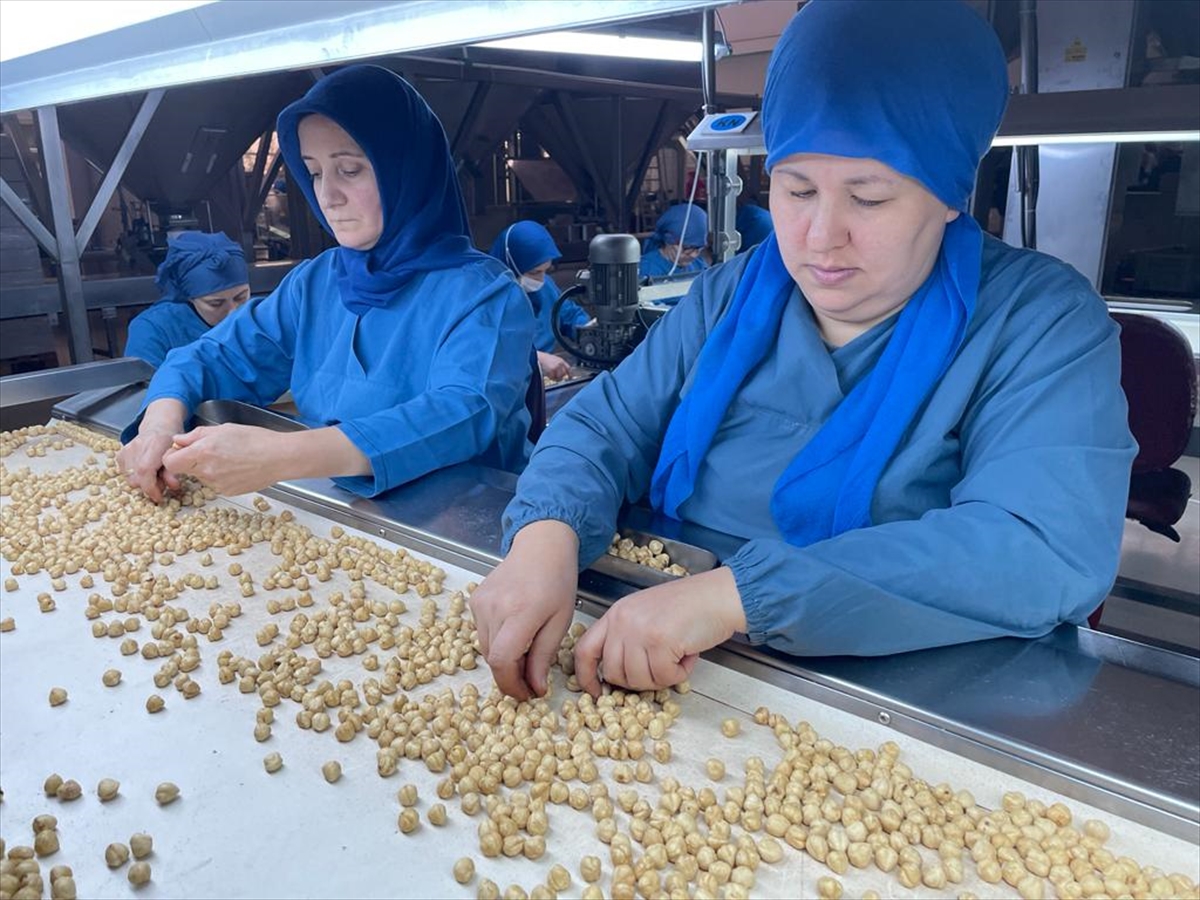 Türk fındığı yeni pazar bulmak için 15 ülkede tanıtılacak