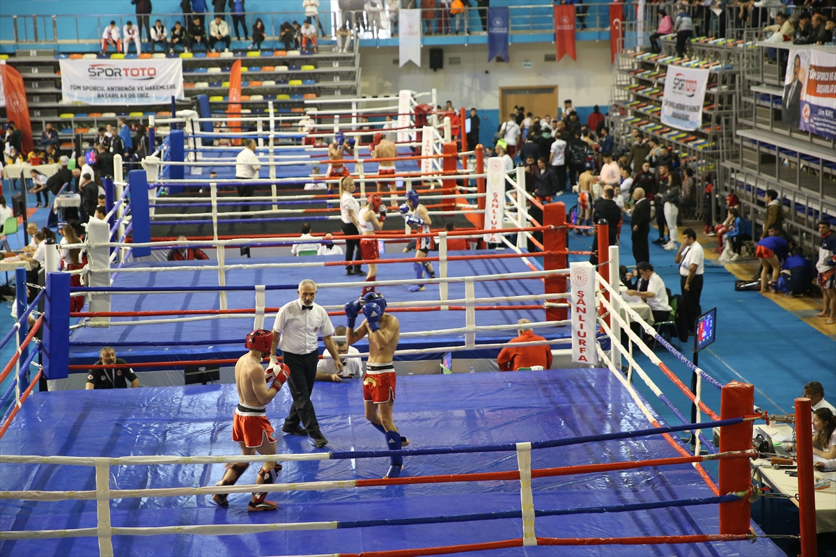 Türkiye Kick Boks Turnuvası, Şanlıurfa'da başladı