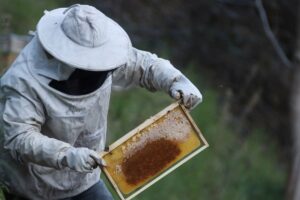 TRABZON (AA) – MELTEM YILMAZ KARAKURUM – Trabzon'da baba mesleği