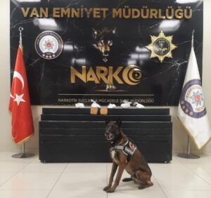 VAN (AA) – Van'da geçen hafta 3 kilo 600 gram