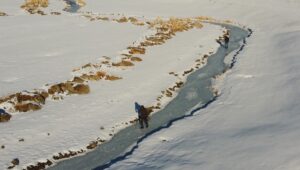 VAN (AA) – Van'ın Özalp ilçesinde menderesler oluşturan akarsuların yüzeyi