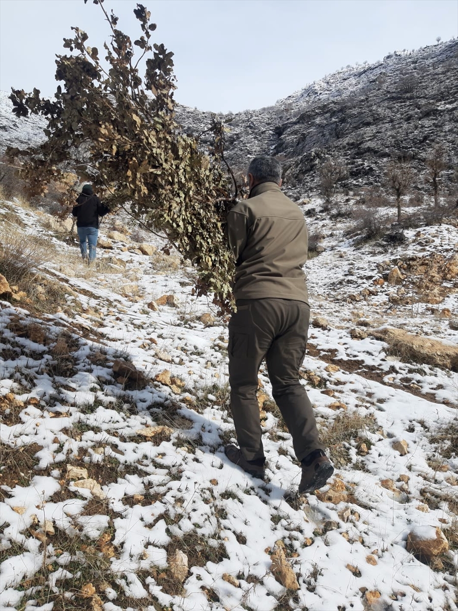 Adıyaman'da yaban hayvanları için doğaya yem bırakıldı