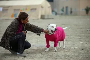 HATAY (AA) – FERDİ UZUN/MEHMET ÇALIK – Hatay'ın İskenderun ilçesinde,