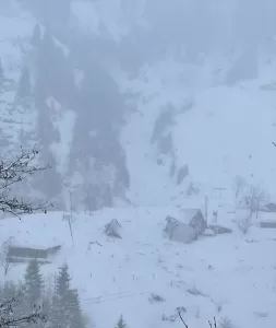 RİZE (AA) – Rize'nin Çamlıhemşin ilçesinde 3 bungalov evde çığ