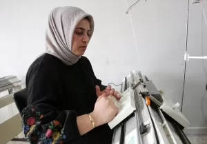 VAN/BİTLİS (AA) – Van ve Bitlis'teki usta öğreticiler ile kadın