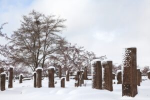 BİTLİS (AA) – Bitlis'in Ahlat ilçesinde, etkili olan yağışların ardından