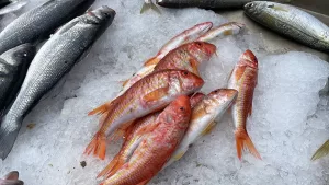 - Etkinlikte yaklaşık 2 saatte 233 bin liralık satış yapıldı