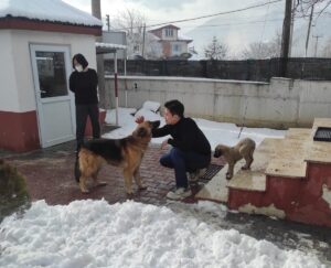 BOLU (AA) – Bolu'nun Mudurnu ilçesinde kar ve buzlanma nedeniyle