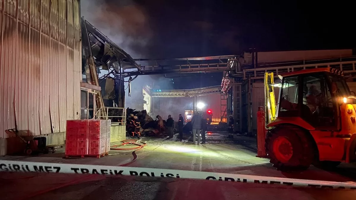 Bolu'da tavuk kesimhanesinde çıkan yangın hasara yol açtı