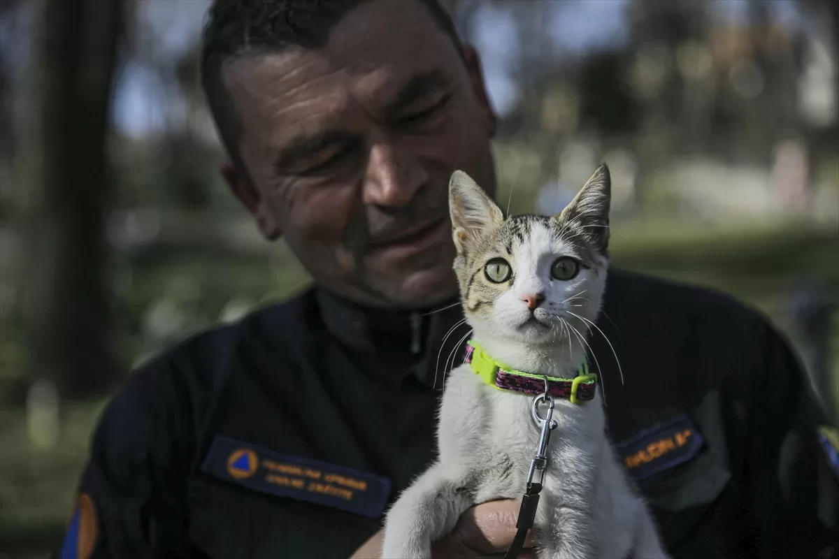 Bosna Hersek arama kurtarma ekibinden Spahovic, Hatay'da sahiplendiği kediye “Aleyna” ismini verdi