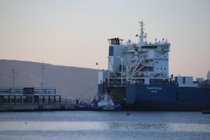 MUĞLA (AA) – "Asrın felaketi" olarak nitelenen Kahramanmaraş merkezli depremlerin