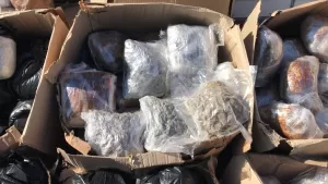 - Adana'da durdurularak aranan şüphelilere ait kamyonetteki kolilerde su, çocuk