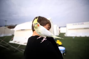 GAZİANTEP (AA) – ÖZGÜN TİRAN – Gaziantep'in İslahiye ilçesinde 41