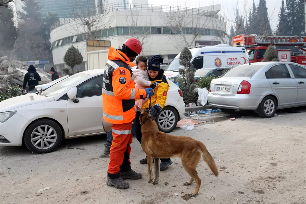 Hassas burunlu köpek “Alfa” depremzedelere umut oldu
