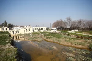 HATAY (AA) – SÜLEYMAN ELÇİN – Hatay'da, Asi Nehri'nin kıyısında