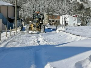 TRABZON (AA) – Giresun, Rize, Artvin, Ordu ve Gümüşhane'de kar